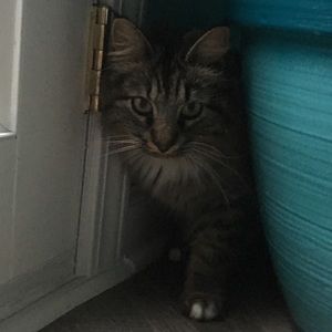 Meet your Posher, Kate